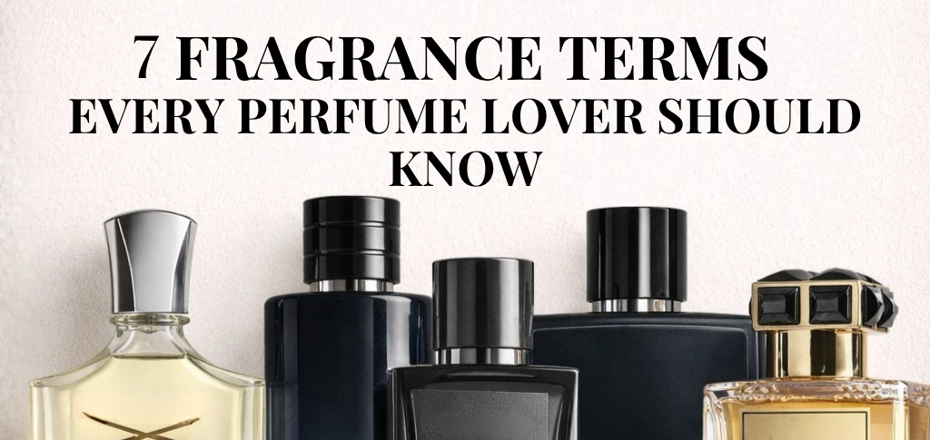 Perfume terms explained with different fragrance bottles for beginners