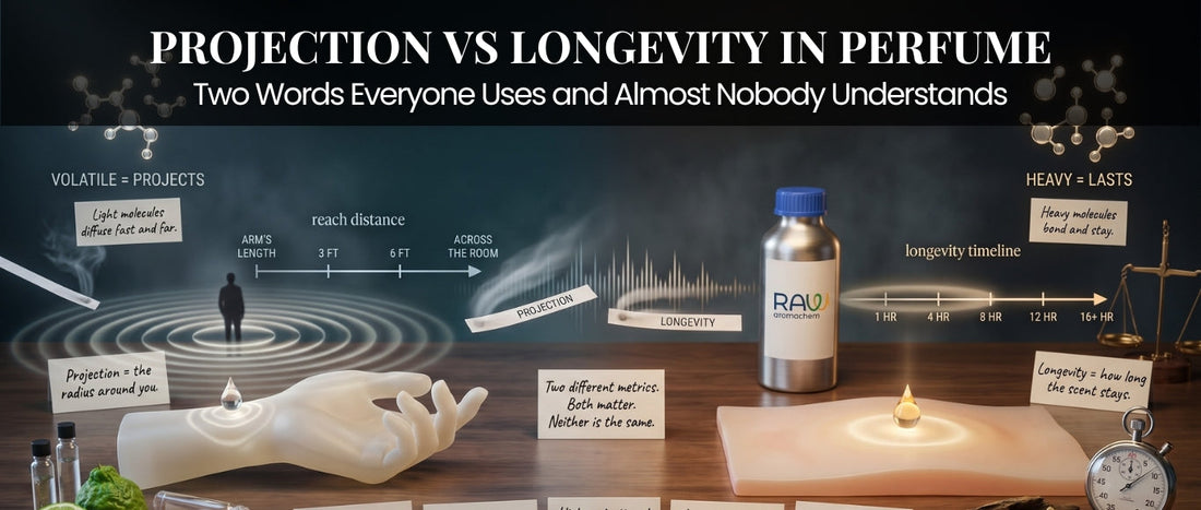 Perfume projection vs longevity comparison showing scent diffusion, reach, and lasting power.