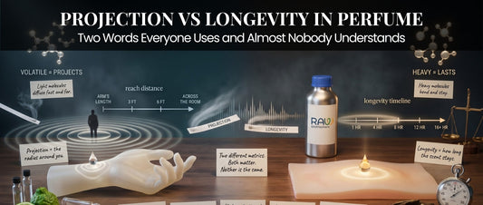 Perfume projection vs longevity comparison showing scent diffusion, reach, and lasting power.