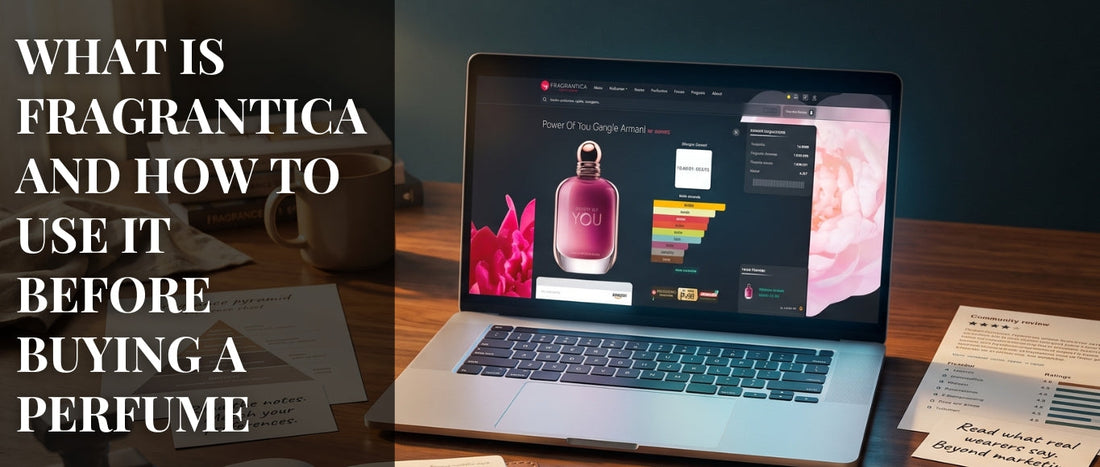 Fragrantica guide for researching perfumes, fragrance notes, and reviews before buying.