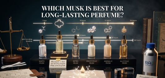 Best musk for long-lasting perfume comparison featuring white musk, nitro musk, polycyclic musk, and animalic musk.
