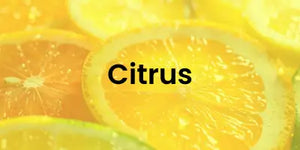 citrus