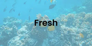 fresh