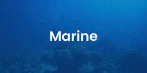 marine