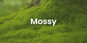 mossy