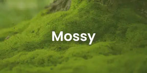 mossy