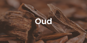 Oud