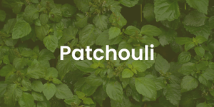 patchouli