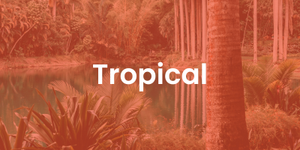 tropical