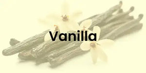 vanilla
