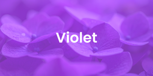 violet