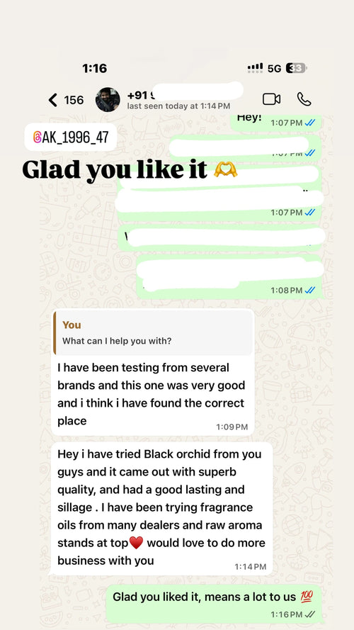 WhatsApp review